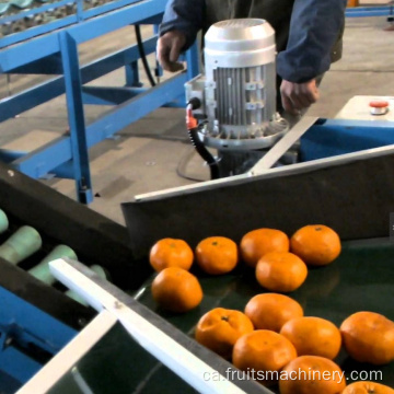 Mango/pinya/poma/línia de processament de suc de taronja